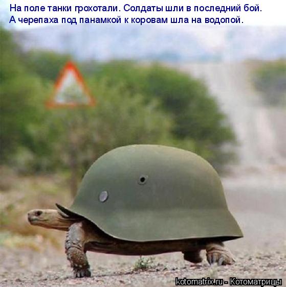 На поле танки грохотали. Солдаты шли в последний бой. А черепаха под панамкой к коровам шла на водопо... Котоматрица: На поле танки грохотали. Солдаты шли в последний бой. А черепаха под панамкой к коровам шла на водопой.