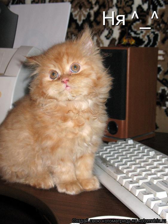 Ня ^_^... Котоматрица: Ня ^_^