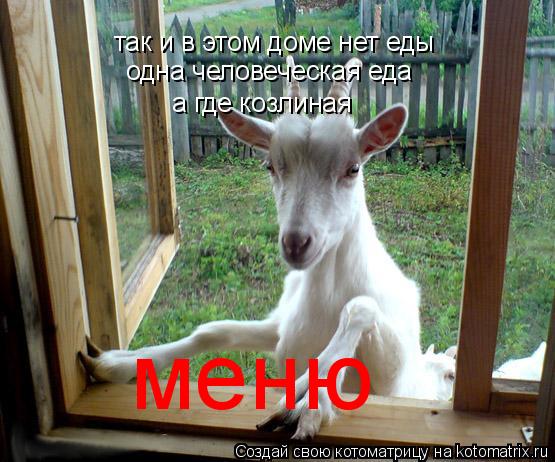 так и в этом доме нет еды одна человеческая еда а где козлиная меню... Котоматрица: так и в этом доме нет еды одна человеческая еда а где козлиная меню