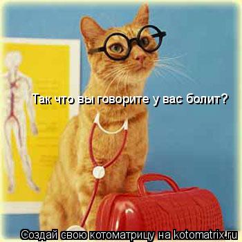 Так что вы говорите у вас болит?... Котоматрица: Так что вы говорите у вас болит?