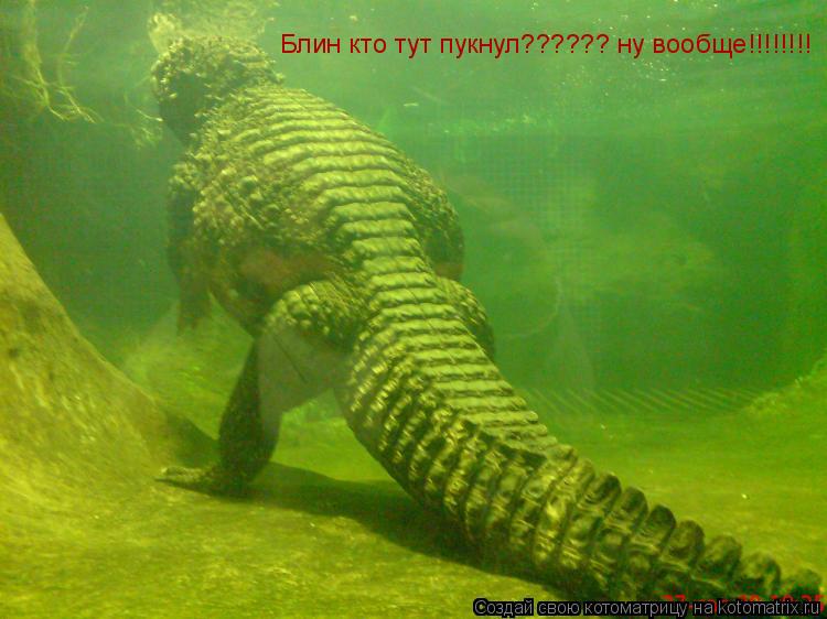 Котоматрица: Блин кто тут пукнул?????? ну вообще!!!!!!!!