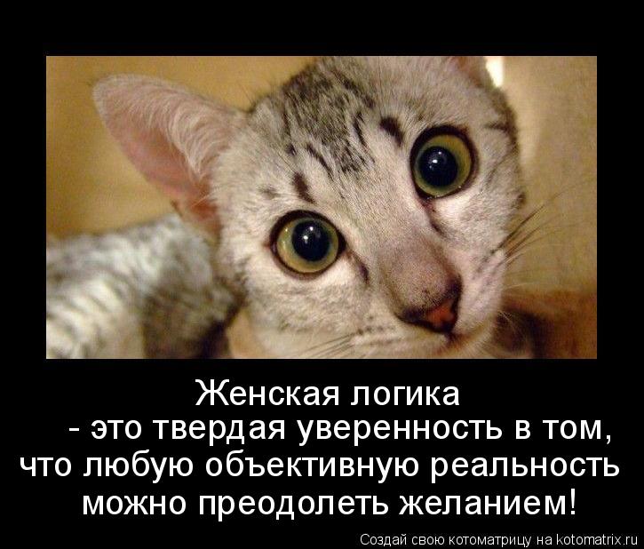 Женская логика - это твердая уверенность в том, что любую объективную реальность можно преодолеть ... Котоматрица: Женская логика - это твердая уверенность в том, что любую объективную реальность можно преодолеть желанием!