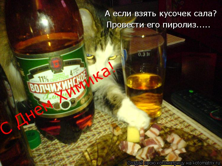 Котоматрица: А если взять кусочек сала? Провести его пиролиз..... С Днем Химика!