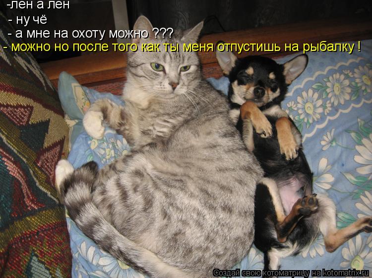 Котоматрица: -лен а лен  - ну чё  - а мне на охоту можно ??? - можно но после того как ты меня отпустишь на рыбалку !