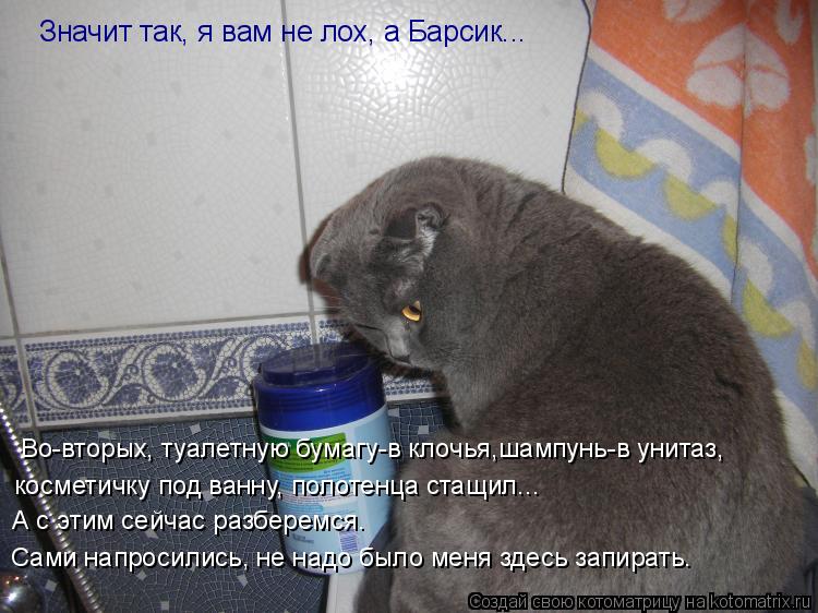 Значит так, я вам не лох, а Барсик... Во-вторых, туалетную бумагу-в клочья,шампунь-в унитаз, космети... Котоматрица: Значит так, я вам не лох, а Барсик... Во-вторых, туалетную бумагу-в клочья,шампунь-в унитаз, косметичку под ванну, полотенца стащил... А с этим с