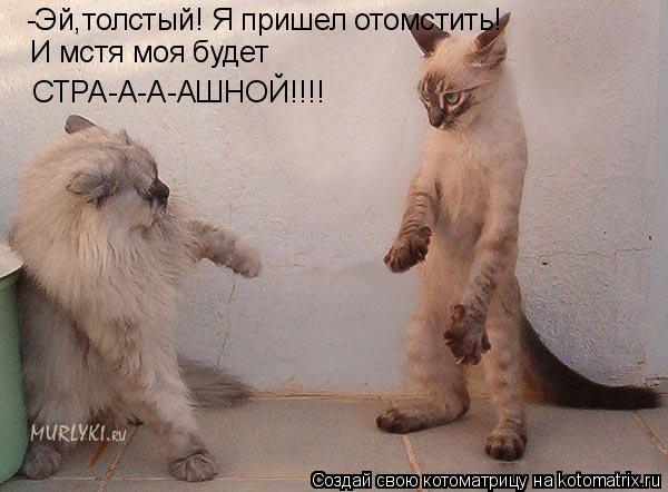 -Эй,толстый! Я пришел отомстить! СТРА-А-А-АШНОЙ!!!! И мстя моя будет... Котоматрица: -Эй,толстый! Я пришел отомстить! СТРА-А-А-АШНОЙ!!!! И мстя моя будет