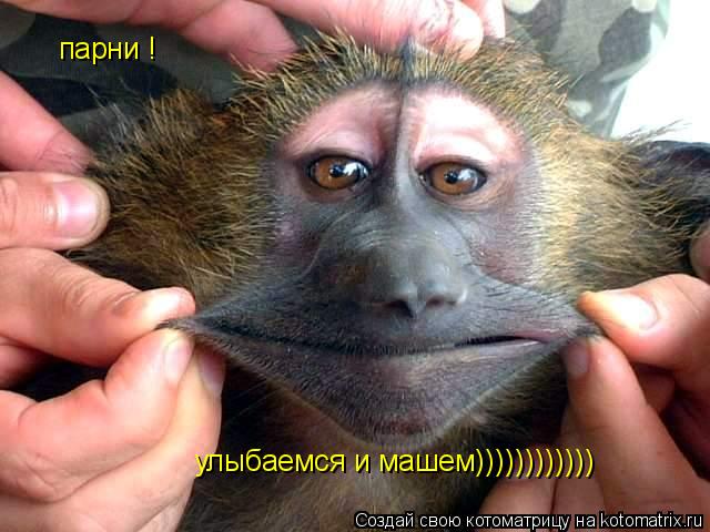 Котоматрица: парни ! улыбаемся и машем))))))))))))