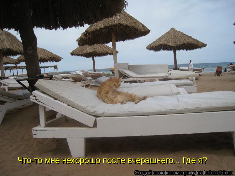 Что-то мне нехорошо после вчерашнего... Где я?... Котоматрица: Что-то мне нехорошо после вчерашнего... Где я?