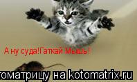 А ну суда!Гаткай Мышь!... Котоматрица: А ну суда!Гаткай Мышь!