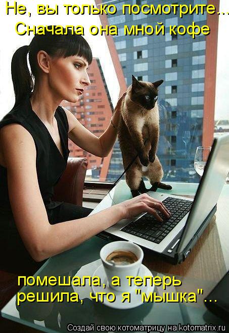 Котоматрица: Не, вы только посмотрите... Сначала она мной кофе помешала, а теперь решила, что я "мышка"...