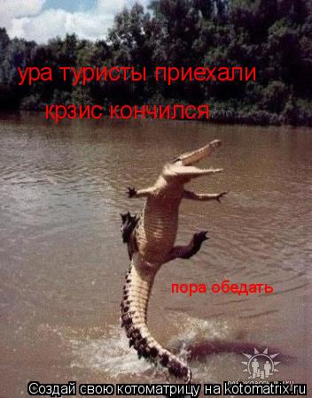 ура туристы приехали крзис кончился пора обедать... Котоматрица: ура туристы приехали крзис кончился пора обедать
