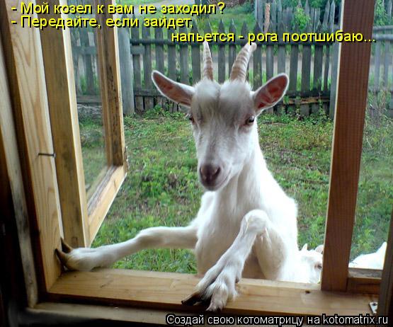 - Мой козел к вам не заходил? - Передайте, если зайдет, напьется - рога поотшибаю...... Котоматрица: - Мой козел к вам не заходил? - Передайте, если зайдет, напьется - рога поотшибаю...