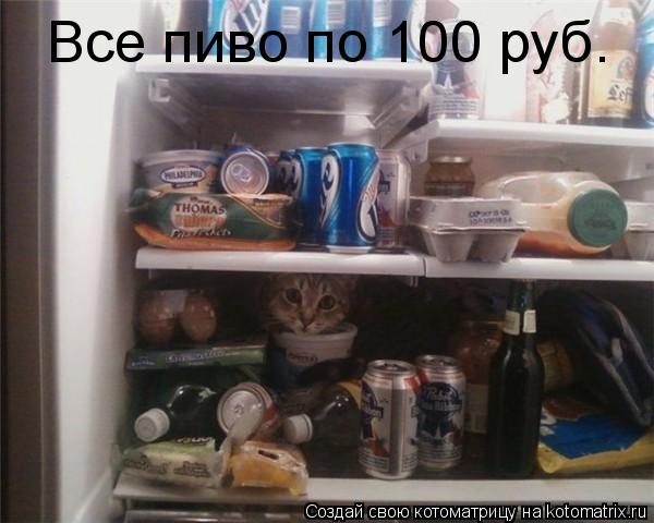 Котоматрица: Все пиво по 100 руб.
