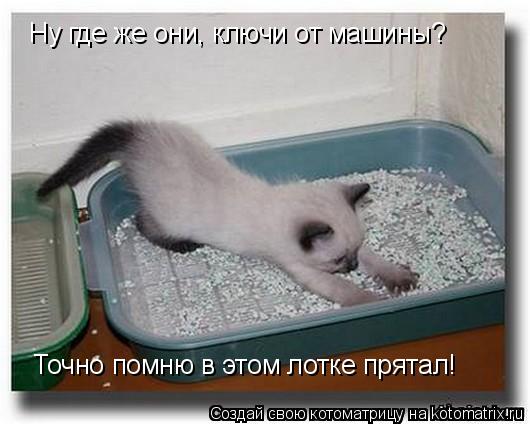 Ну где же они, ключи от машины? Точно помню в этом лотке прятал!... Котоматрица: Ну где же они, ключи от машины? Точно помню в этом лотке прятал!