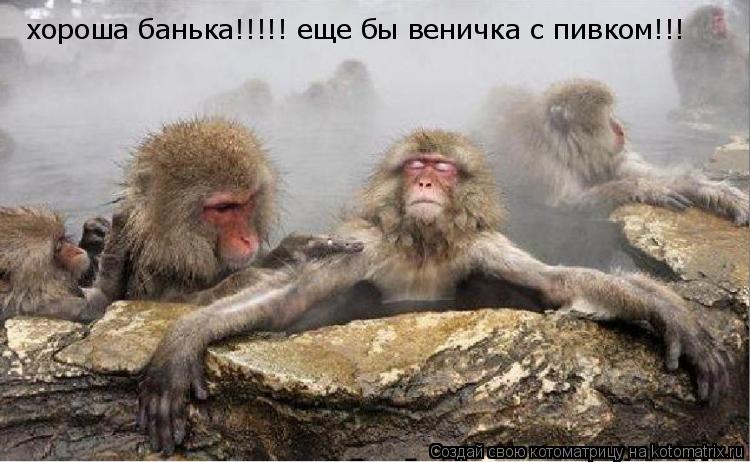 Котоматрица: хороша банька!!!!! еще бы веничка с пивком!!!