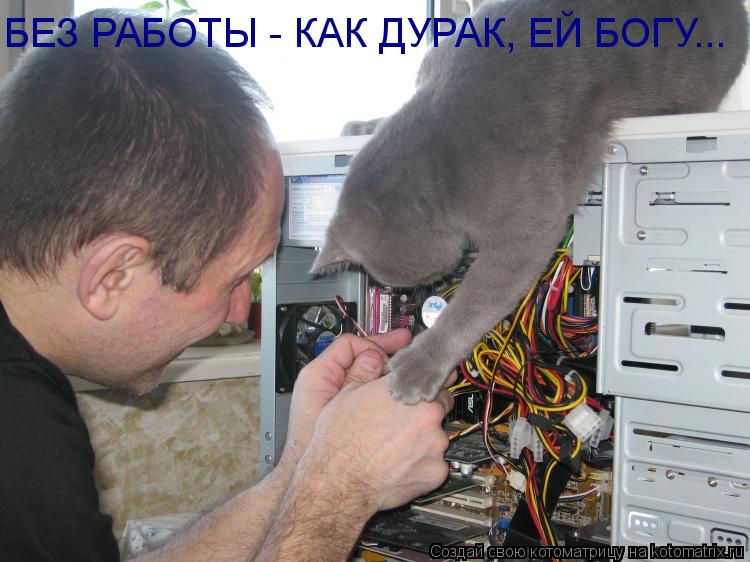 БЕЗ РАБОТЫ - КАК ДУРАК, ЕЙ БОГУ...... Котоматрица: БЕЗ РАБОТЫ - КАК ДУРАК, ЕЙ БОГУ...