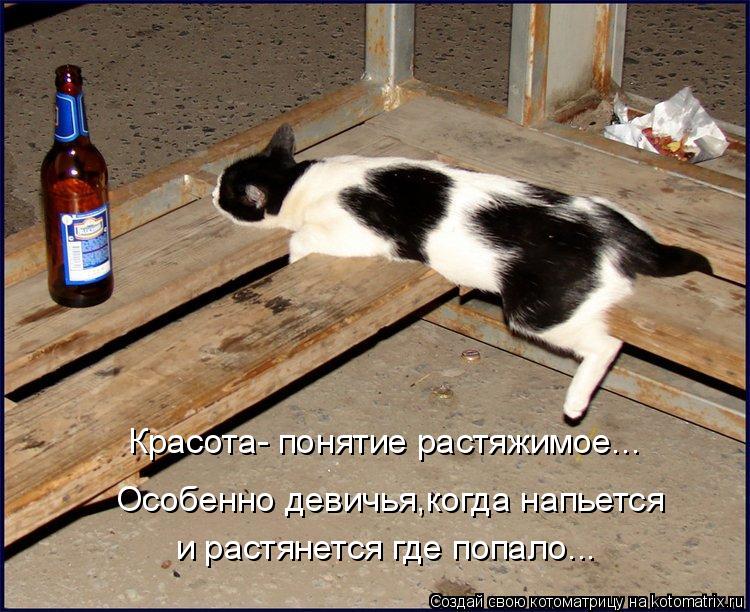 Красота- понятие растяжимое... Особенно девичья,когда напьется и растянется где попало...... Котоматрица: Красота- понятие растяжимое... Особенно девичья,когда напьется и растянется где попало...