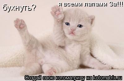 Котоматрица: бухнуть? я всеми лапами За!!!!