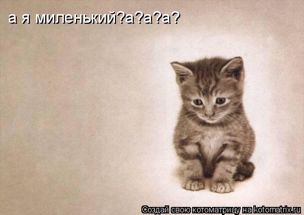 а я миленький?а?а?а?... Котоматрица: а я миленький?а?а?а?