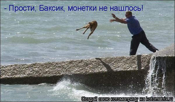 - Прости, Баксик, монетки не нашлось!... Котоматрица: - Прости, Баксик, монетки не нашлось!
