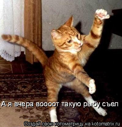 Котоматрица: А я вчера воооот такую рыбу съел А я вчера воооот такую рыбу съел А я вчера воооот такую рыбу съел А я вчера воооот такую рыбу съел А я вчера в