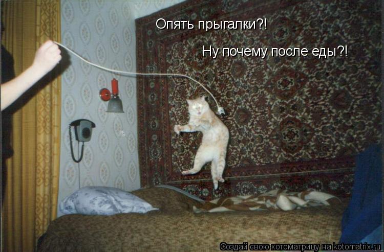 Опять прыгалки?! Ну почему после еды?!... Котоматрица: Опять прыгалки?! Ну почему после еды?!