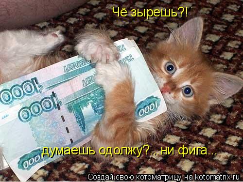 Чё зырешь?! думаешь одолжу?...ни фига...... Котоматрица: Чё зырешь?! думаешь одолжу?...ни фига...