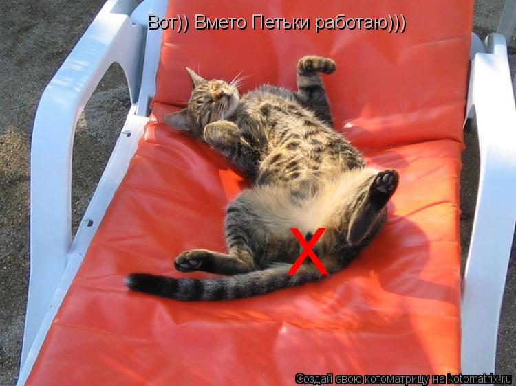 Х Вот... Вот)) Вмето Петьки работаю)))... Котоматрица: Х Вот... Вот)) Вмето Петьки работаю)))