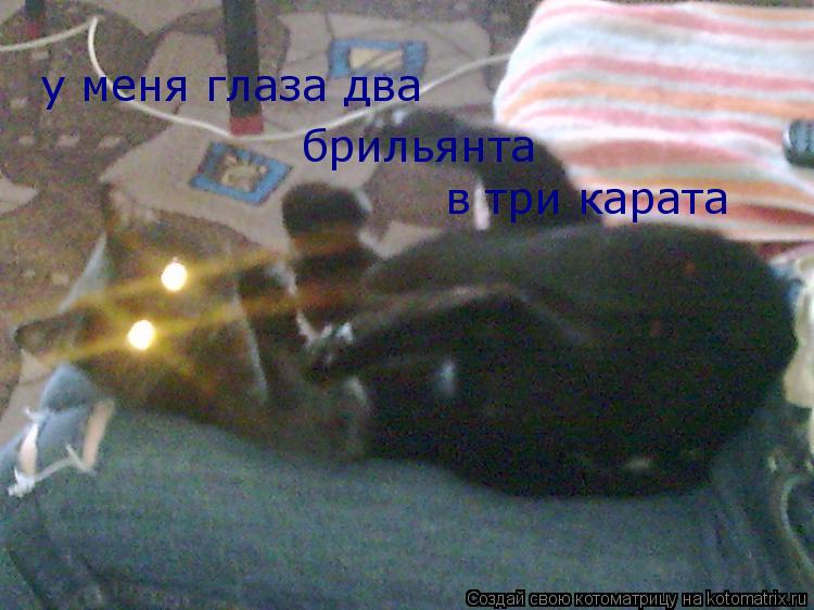 у меня глаза два брильянта в три карата... Котоматрица: у меня глаза два брильянта в три карата