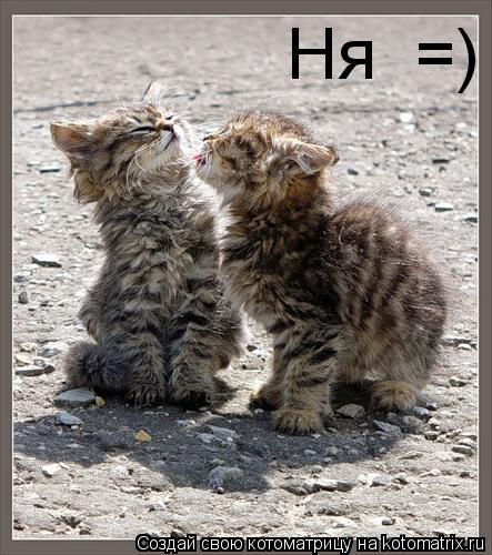 Ня =)... Котоматрица: Ня =)