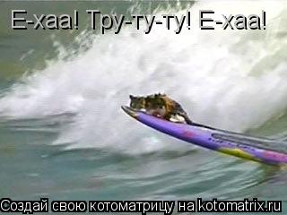 Е-хаа! Тру-ту-ту! Е-хаа!... Котоматрица: Е-хаа! Тру-ту-ту! Е-хаа!