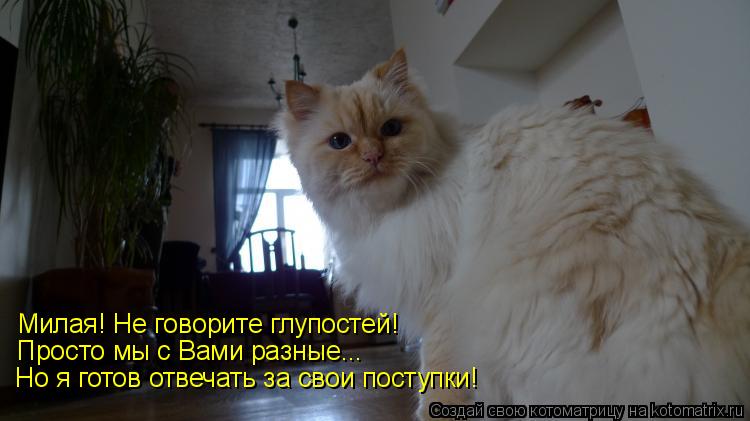 Милая! Не говорите глупостей! Просто мы с Вами разные... Но я готов отвечать за свои поступки!... Котоматрица: Милая! Не говорите глупостей! Просто мы с Вами разные... Но я готов отвечать за свои поступки!