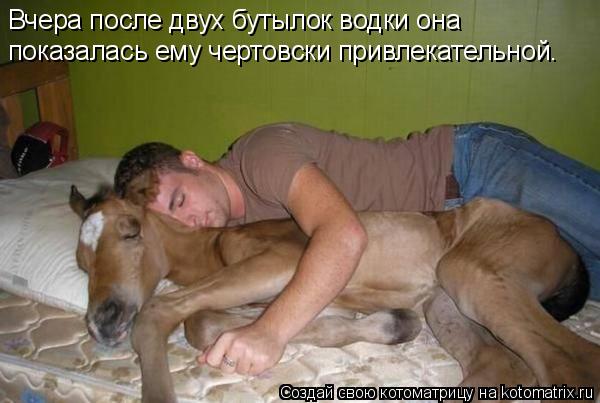 Котоматрица: Вчера после двух бутылок водки она  показалась ему чертовски привлекательной.