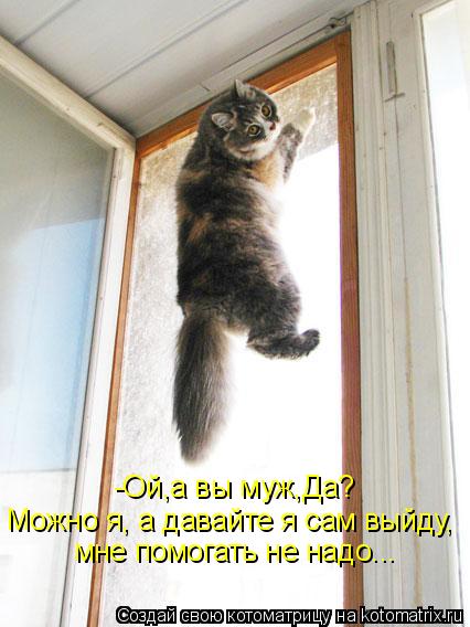 -Ой,а вы муж,Да? Можно я, а давайте я сам выйду, мне помогать не надо...... Котоматрица: -Ой,а вы муж,Да? Можно я, а давайте я сам выйду, мне помогать не надо...