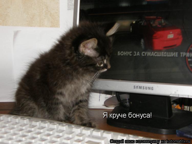 Я круче бонуса!... Котоматрица: Я круче бонуса!