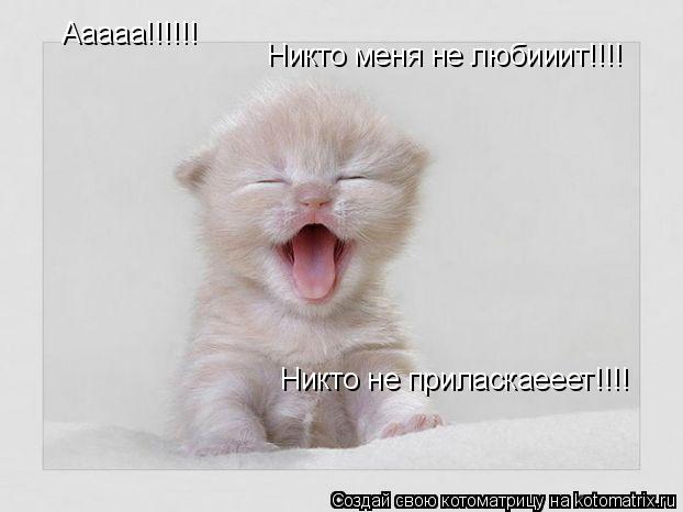 Котоматрица: Ааааа!!!!!! Никто меня не любииит!!!! Никто не приласкаееет!!!!