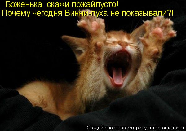 Котоматрица: Боженька, скажи пожайлусто! Почему чегодня Винни-пуха не показывали?!