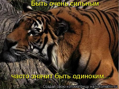 Быть очень сильным часто значит быть одиноким...... Котоматрица: Быть очень сильным часто значит быть одиноким...