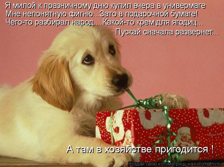 Я милой к празничному дню купил вчера в универмаге Мне непонятную фигню...Зато в подарочной бумаге! Ч... Котоматрица: Я милой к празничному дню купил вчера в универмаге Мне непонятную фигню...Зато в подарочной бумаге! Чего-то разбирал народ....Какой-то крем дл