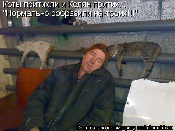 Котоматрица: Коты притихли и Колян притих... "Нормально собразили на-троих!!!"