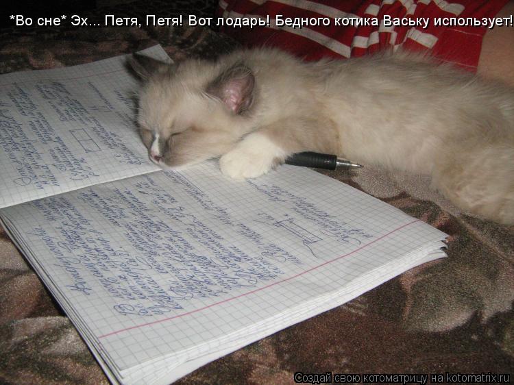 *Во сне* Эх... Петя, Петя! Вот лодарь! Бедного котика Ваську использует!... Котоматрица: *Во сне* Эх... Петя, Петя! Вот лодарь! Бедного котика Ваську использует!