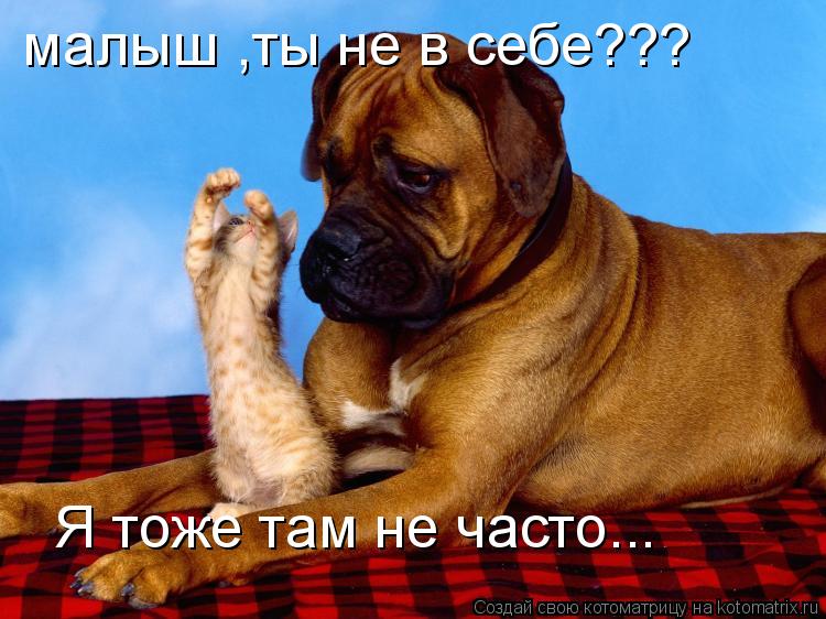 малыш ,ты не в себе??? Я тоже там не часто...... Котоматрица: малыш ,ты не в себе??? Я тоже там не часто...