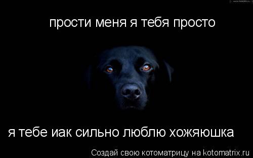 прости меня я тебя просто я тебе иак сильно люблю хожяюшка... Котоматрица: прости меня я тебя просто я тебе иак сильно люблю хожяюшка