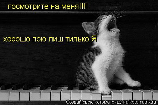 посмотрите на меня!!!! хорошо пою лиш тилько Я... Котоматрица: посмотрите на меня!!!! хорошо пою лиш тилько Я