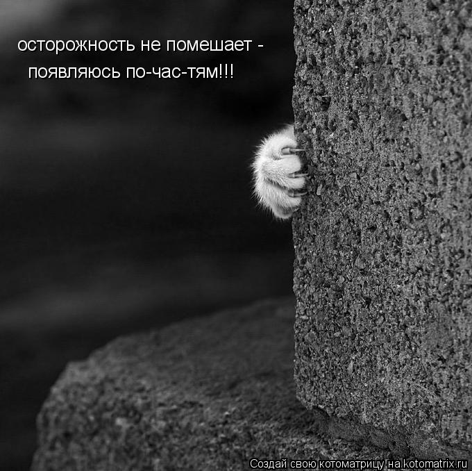 осторожность не помешает - появляюсь по-час-тям!!!... Котоматрица: осторожность не помешает - появляюсь по-час-тям!!!