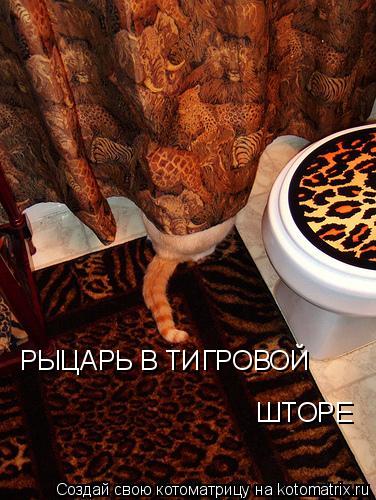 РЫЦАРЬ В ТИГРОВОЙ ШТОРЕ... Котоматрица: РЫЦАРЬ В ТИГРОВОЙ ШТОРЕ