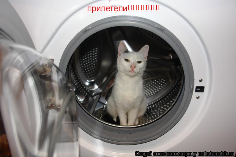 прилетели!!!!!!!!!!!!!... Котоматрица: прилетели!!!!!!!!!!!!!