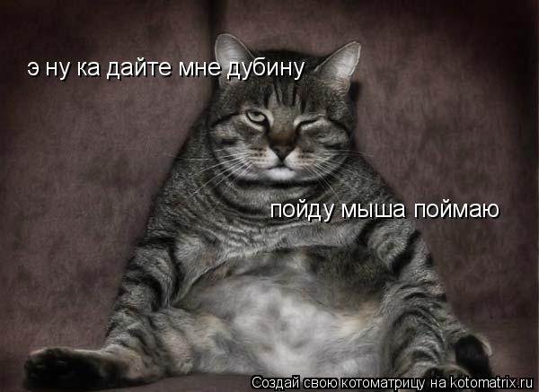 э ну ка дайте мне дубину пойду мыша поймаю... Котоматрица: э ну ка дайте мне дубину пойду мыша поймаю
