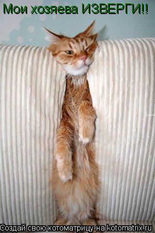 Мои хозяева ИЗВЕРГИ!!... Котоматрица: Мои хозяева ИЗВЕРГИ!!