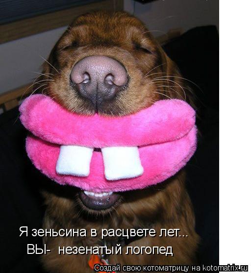 Я зеньсина в расцвете лет... ВЫ- незенатый логопед... Котоматрица: Я зеньсина в расцвете лет... ВЫ- незенатый логопед